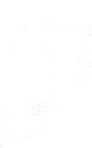 Prince Charles during the intermission of a polo match - Vintage Photograph