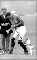 Prince Charles got the attention of a dog during the intermission of a polo match - Vintage Photograph
