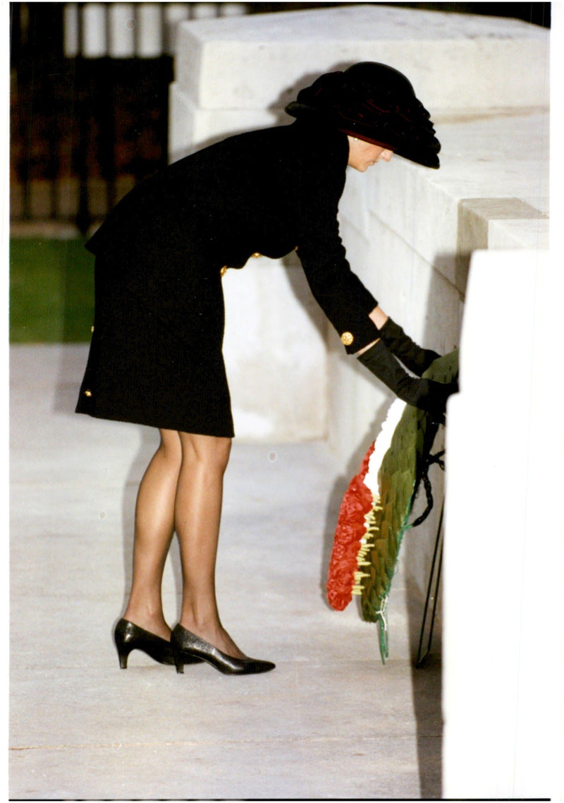 Princess Diana leaves one anchored to the Welsh Guards memory - Vintage Photograph