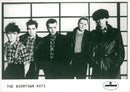 Irish The Boomtown Rats consisting of Simon Crowe, Pete Briquette, Gerry Cott, Garry Roberts, Johnny Fingers and Bob Geldof. - Vintage Photograph