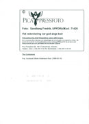 Micke Andersson, The Confusions - Vintage Photograph