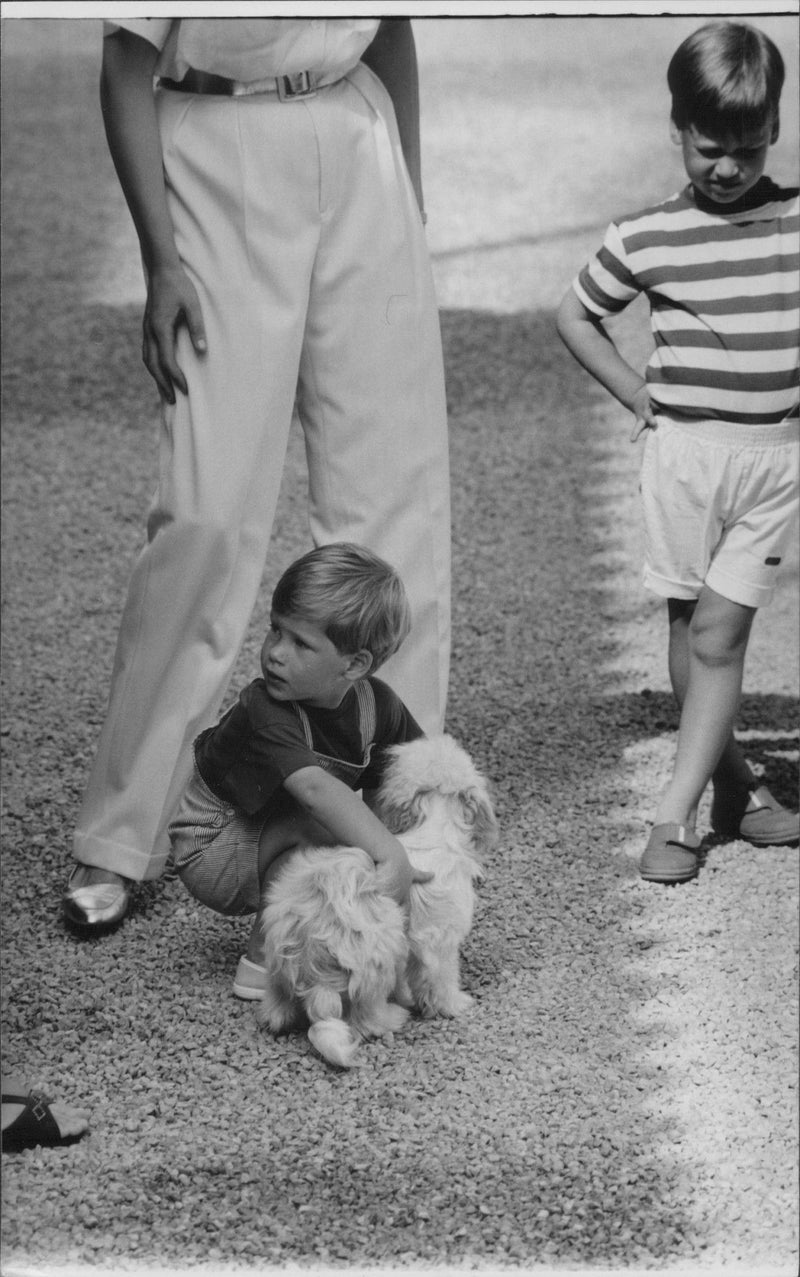 The Royal Dog Show. Prince Harry cuddles with the little white dog while Prince William is watching. - Vintage Photograph