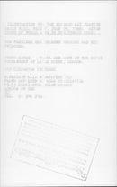 Princess Diana and her two sons at the royal tournament at Earl's Court, London. - Vintage Photograph