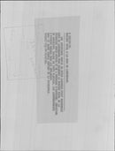 Princess Marie-Astrid and Duke Christian von Habsburg-Lothringen at their wedding. - Vintage Photograph