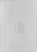 Princess Marie-Astrid and Duke Christian von Habsburg-Lothringen at their wedding. - Vintage Photograph