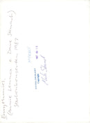 Concert image of Dave Stewart and Annie Lennox from the gig at Stockholm Stadium. - Vintage Photograph