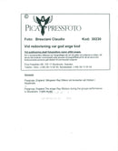 Genesis sings Ray WIlson at the concert on Globen - Vintage Photograph