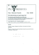 Genesis sings Ray WIlson at the concert on Globen - Vintage Photograph