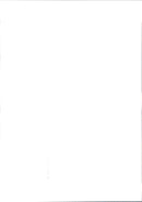 Princess Diana arrives at an unknown official context. - Vintage Photograph