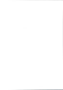 Princess Diana arrives at an unknown official context. - Vintage Photograph