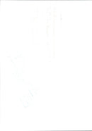 Princess Diana - Vintage Photograph