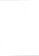 Princess Diana - Vintage Photograph