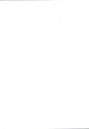 Princess Diana - Vintage Photograph