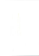 Princess Diana - Vintage Photograph