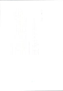 Princess Diana - Vintage Photograph