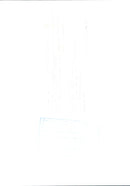 Princess Diana - Vintage Photograph