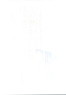 Princess Diana serves food - Vintage Photograph