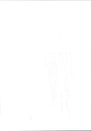 Princess Diana - Vintage Photograph