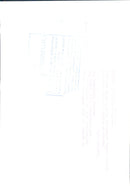 Princess Diana shakes hands with Zimbabwean President Mugabe - Vintage Photograph