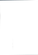 Princess Diana - Vintage Photograph