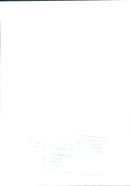 Princess Diana - Vintage Photograph