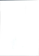 Prince Charles and Princess Diana - Vintage Photograph