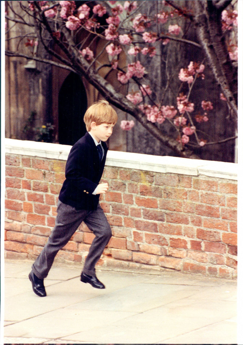 Young Prince Harry runs past a flowering tree. - Vintage Photograph
