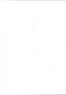 Family member of Princess Diana - Vintage Photograph