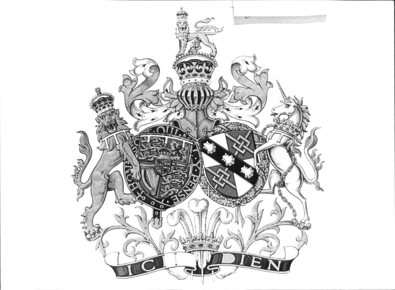 The royal weapon used by Prince Charles and Princess Diana of Wales as a seal and stamp on their belongings - Vintage Photograph