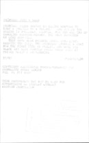 Princess Diana at a wedding - Vintage Photograph