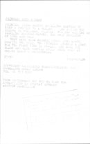 Princess Diana at a wedding - Vintage Photograph