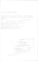 Princess Diana and Prince Charles on their journey through Australia - Vintage Photograph