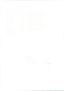 Princess Diana, Prince Harry and Prince William in an unknown official context. - Vintage Photograph