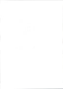 Paparazzi on the princess Diana and the sons of Prince William and Prince Harry. - Vintage Photograph