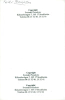 The musician Peter Frampton - Vintage Photograph