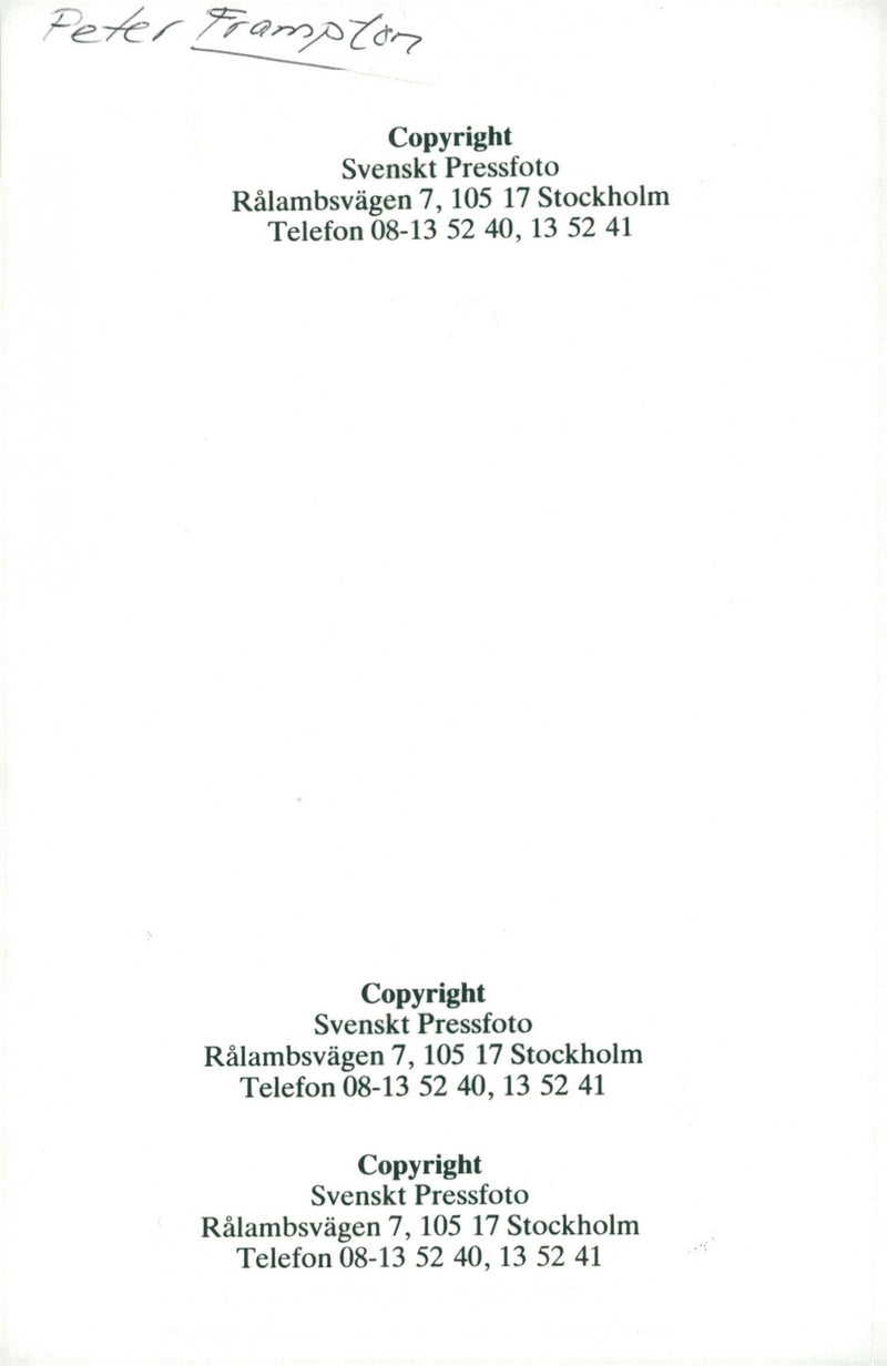 The musician Peter Frampton - Vintage Photograph