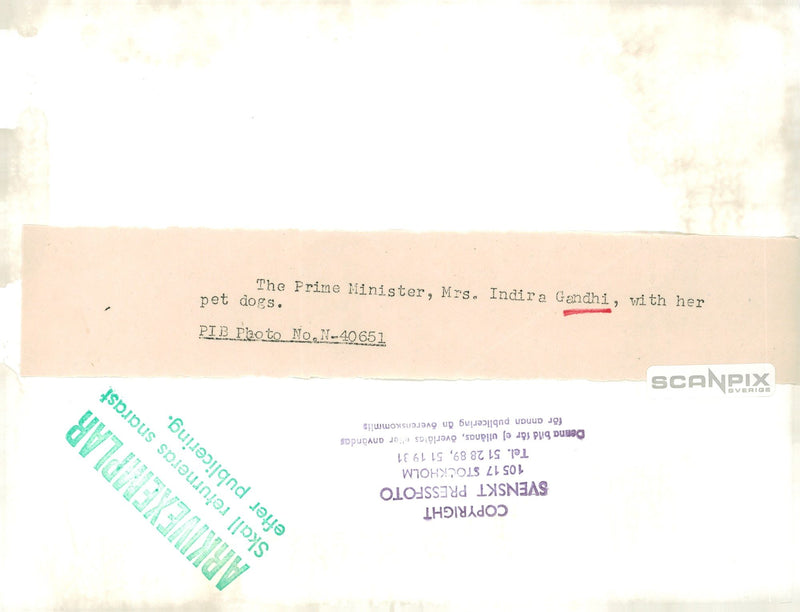 Indira Gandhi with their dogs - Vintage Photograph