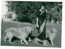 Indira Gandhi with their dogs - Vintage Photograph