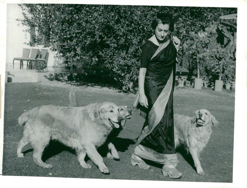 Indira Gandhi with their dogs - Vintage Photograph
