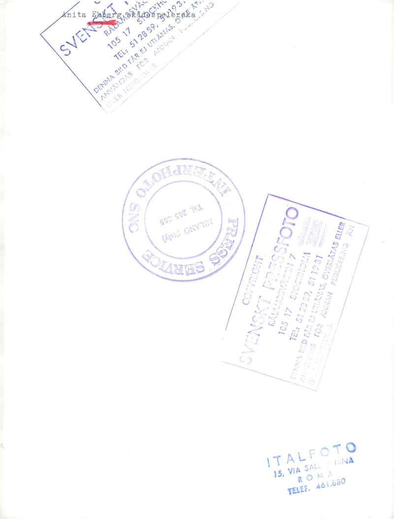 Anita Ekberg with a dog - Vintage Photograph