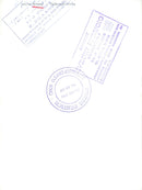 Anita Ekberg with a dog - Vintage Photograph