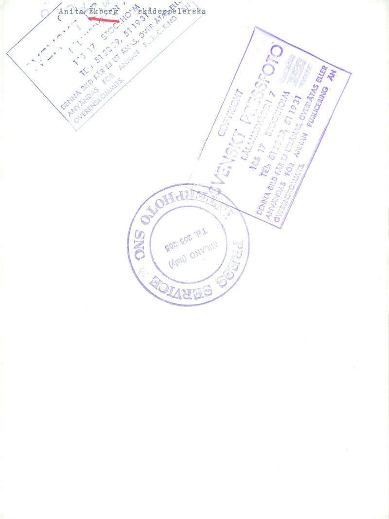 Anita Ekberg with a dog - Vintage Photograph