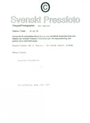 Poet and Swedish Academy member Katarina Frostenson - Vintage Photograph