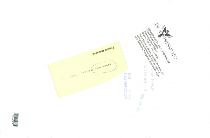 Poet and Swedish Academy member Katarina Frostenson - Vintage Photograph