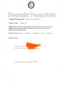 Poet and Swedish Academy member Katarina Frostenson - Vintage Photograph