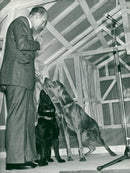 Frankrikes president Giscard D &