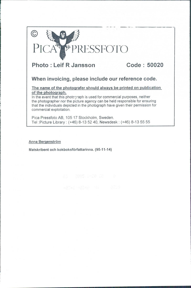 Anna BergenstrÃ¶m, food writer and cookbook writers - Vintage Photograph