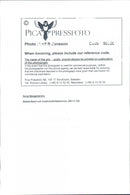 Anna BergenstrÃ¶m, food writer and cookbook writers - Vintage Photograph