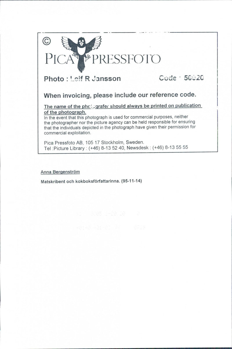 Anna BergenstrÃ¶m, food writer and cookbook writers - Vintage Photograph