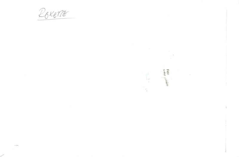 The audience during a Roxette concert - Vintage Photograph